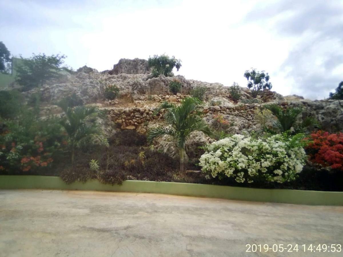 Eve'S Rockaway Villa Alligator Pond エクステリア 写真